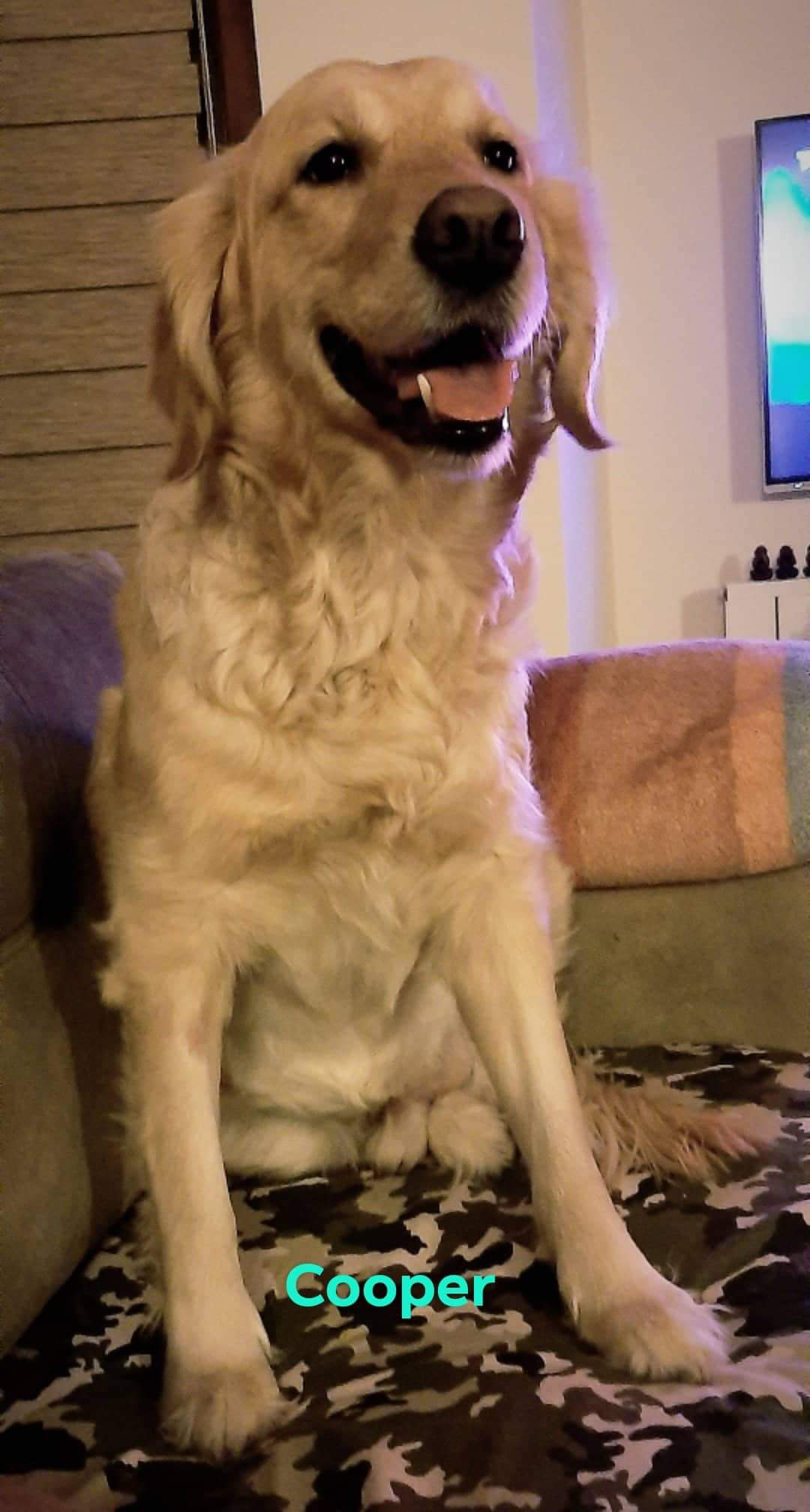 Cooper