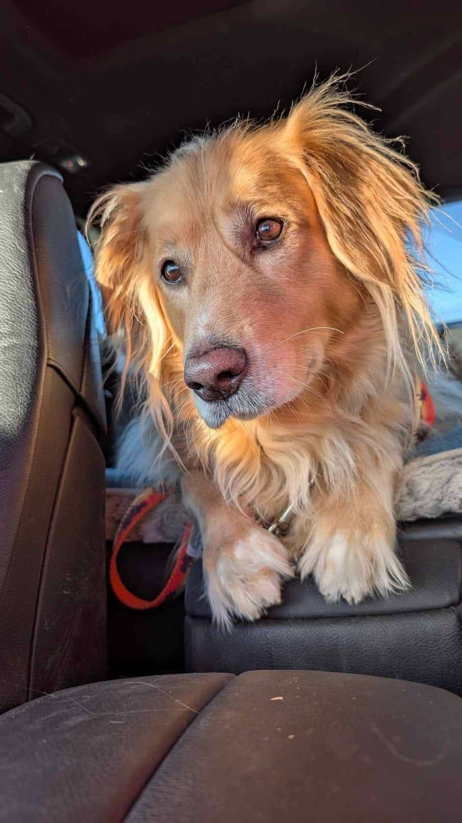 Monty 