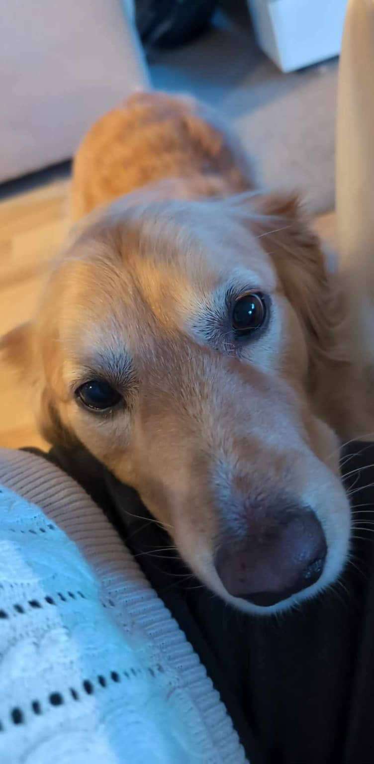 Monty 