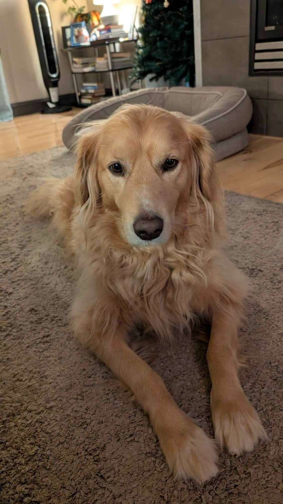 Monty 