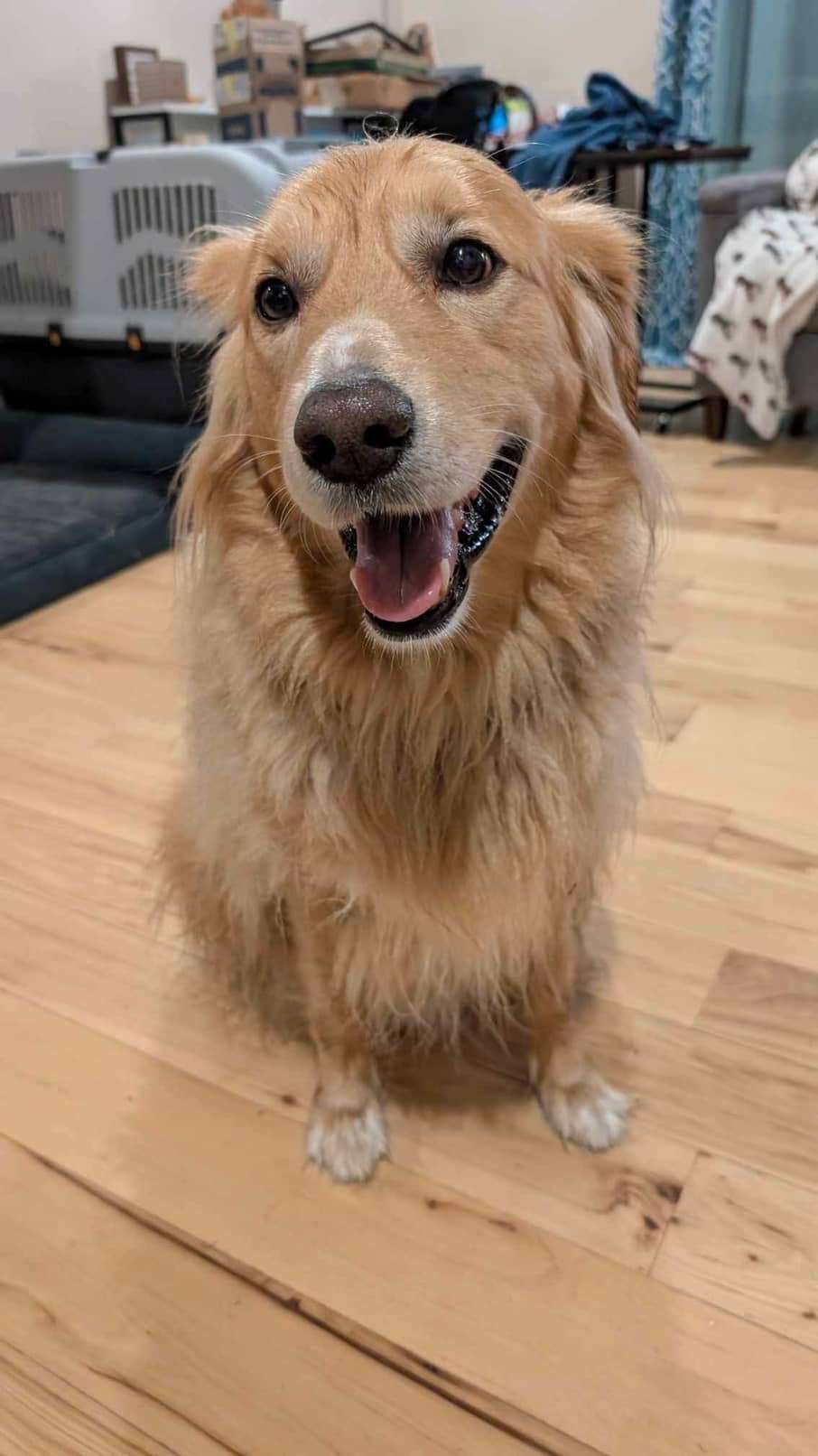 Monty 