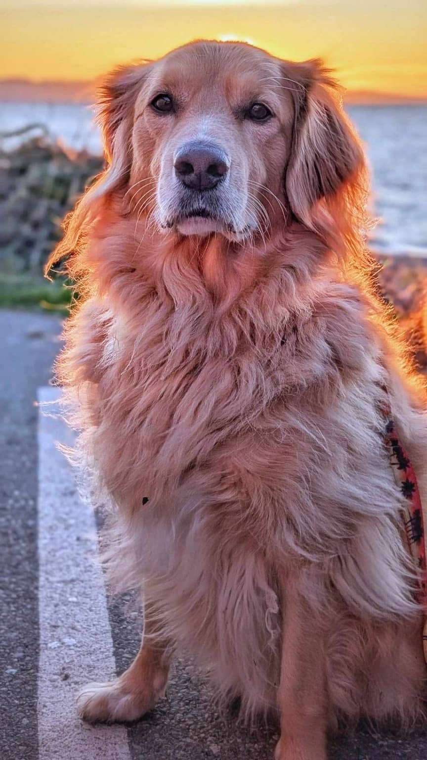 Monty 