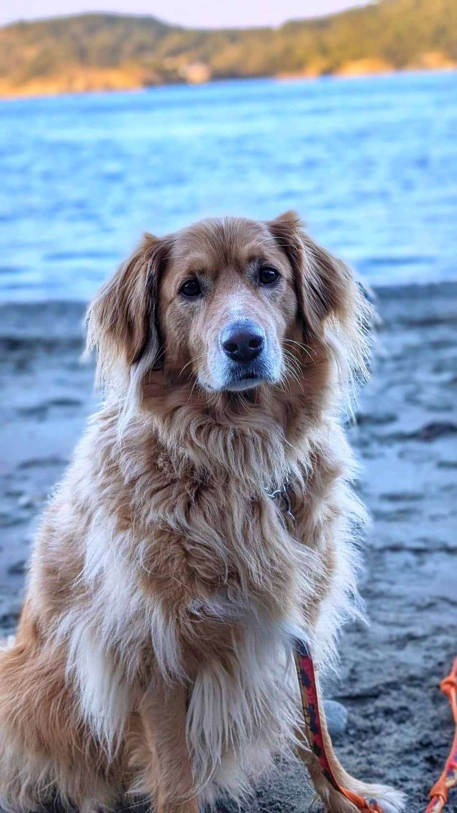 Monty 