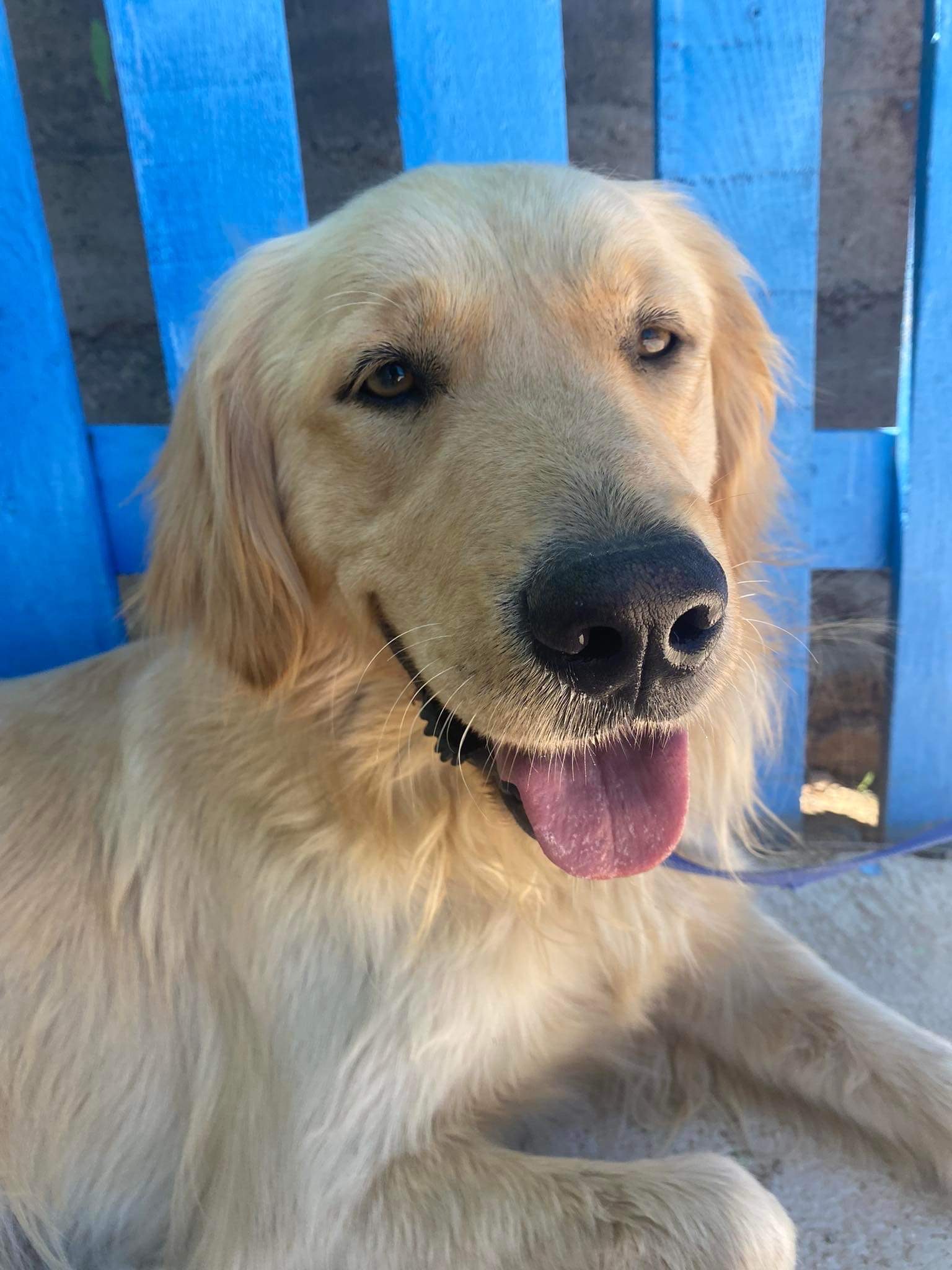 Nash