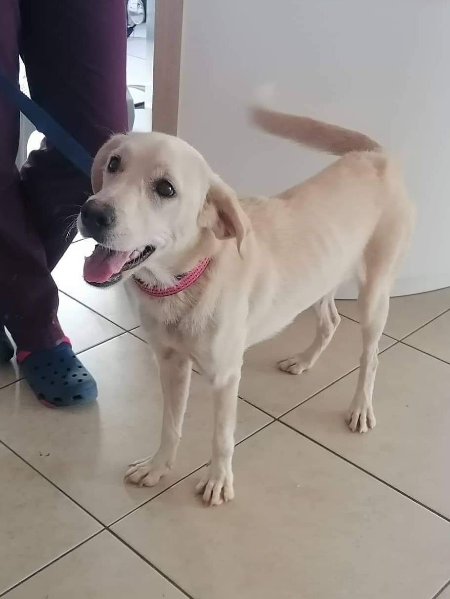 *ADOPTED* <br> Kayla