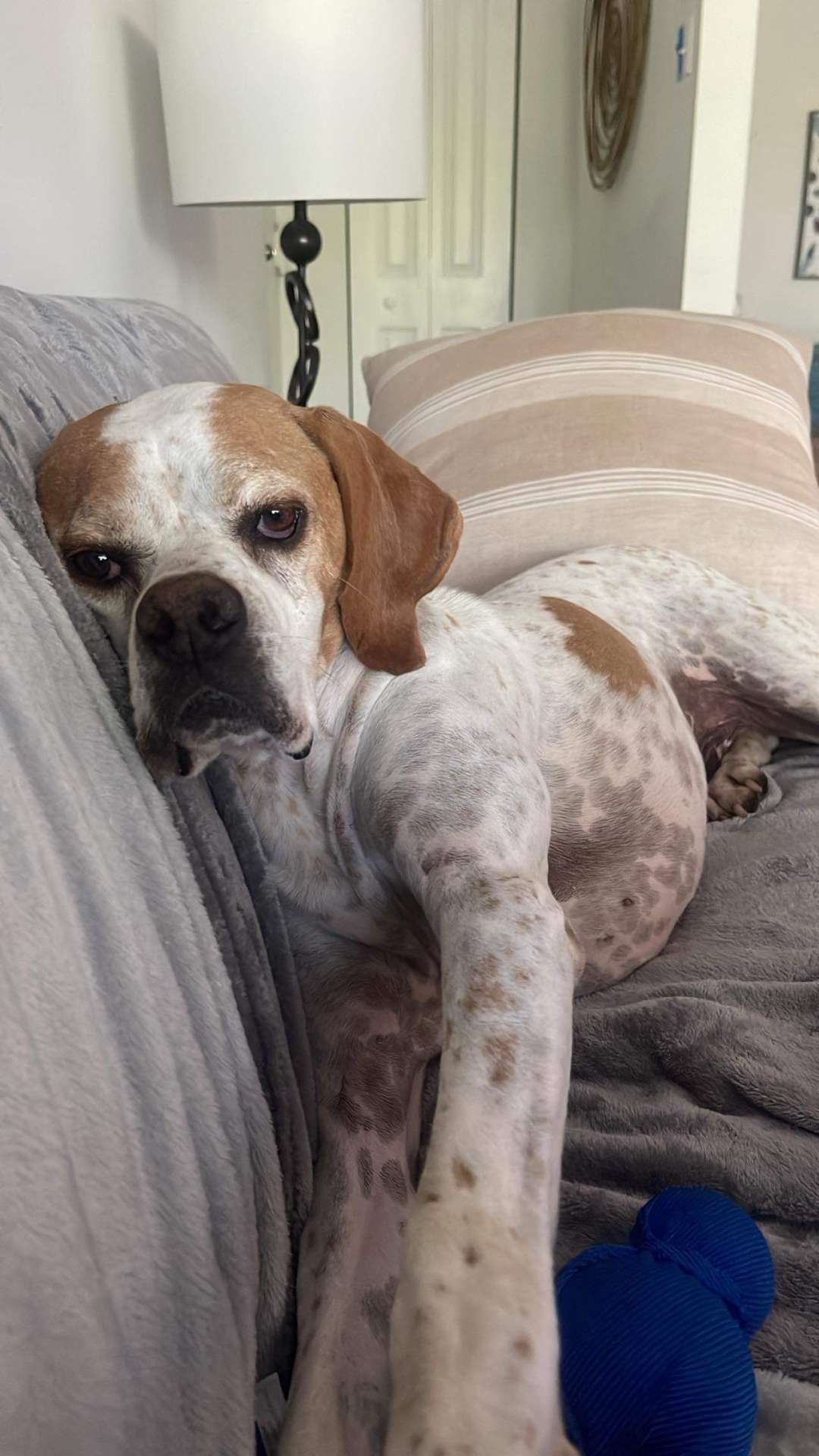 Chester