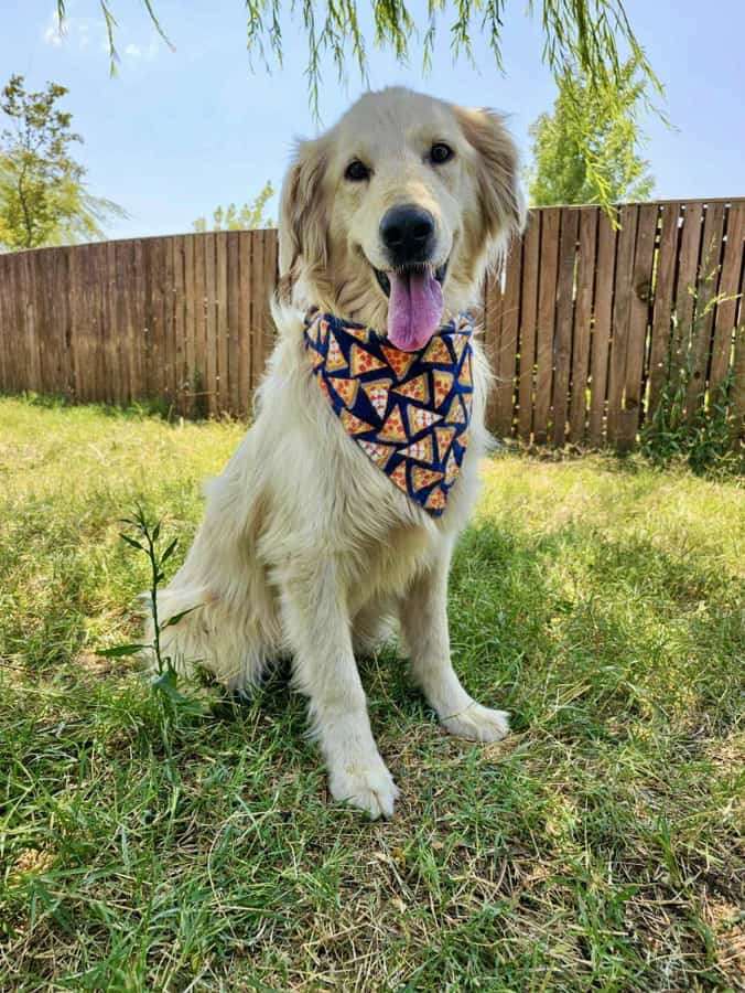 *ADOPTED* <br> Athens 