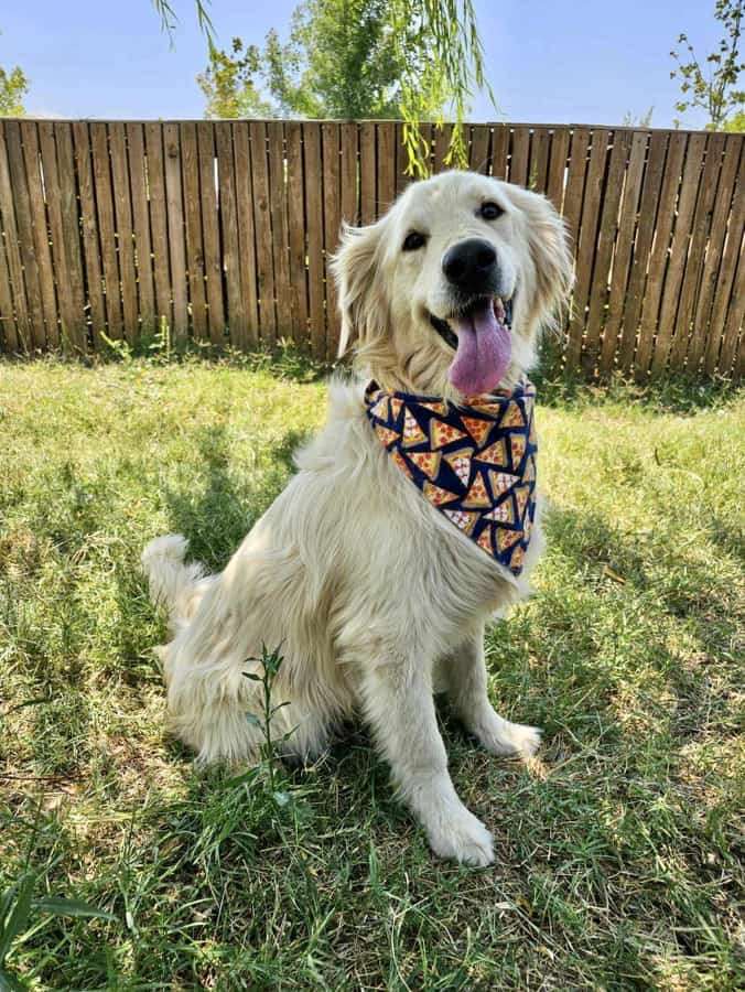 *ADOPTED* <br> Athens 