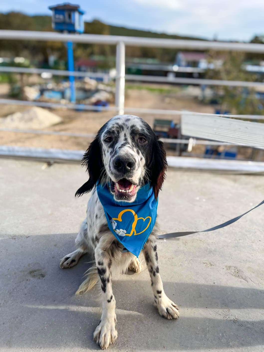 Duncan  