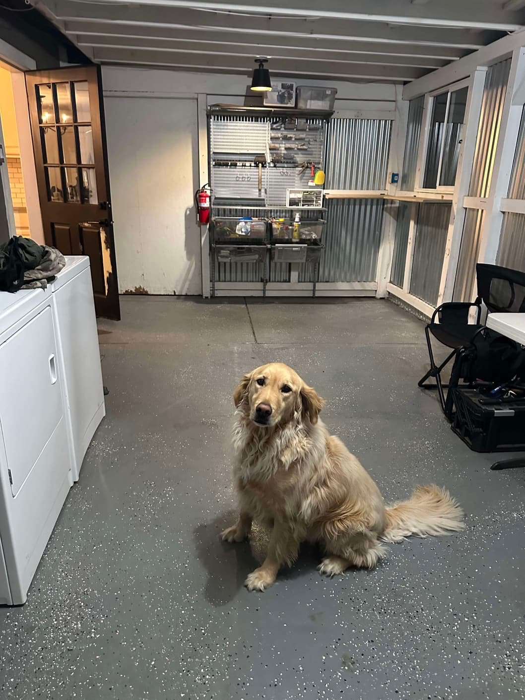 *ADOPTED* <br> Captain 