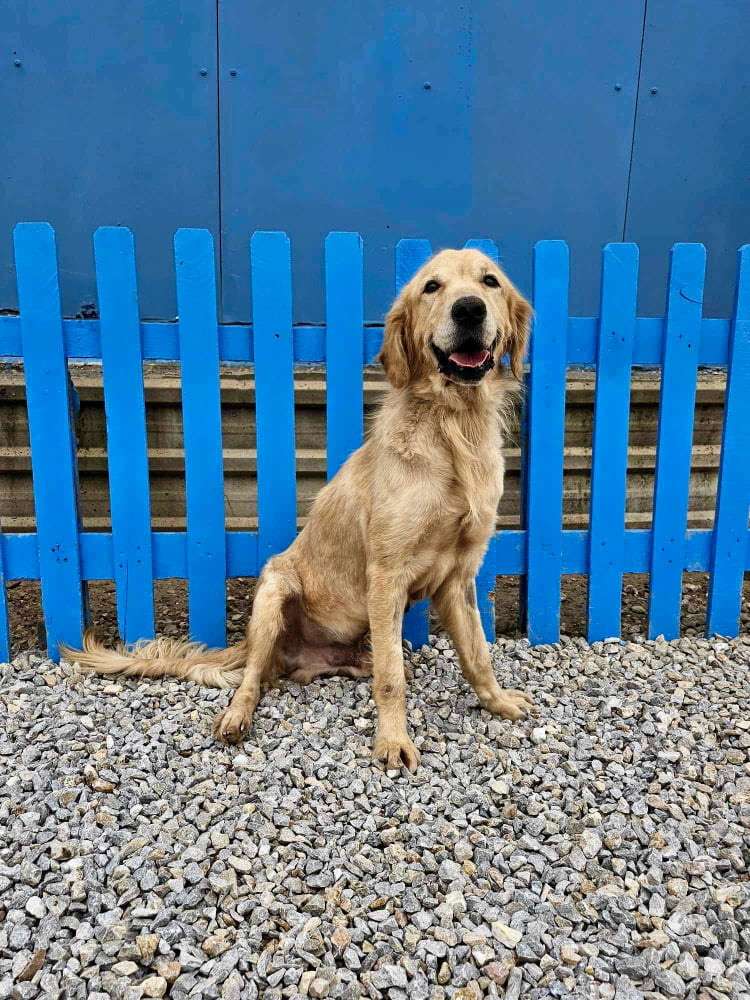 Wally  