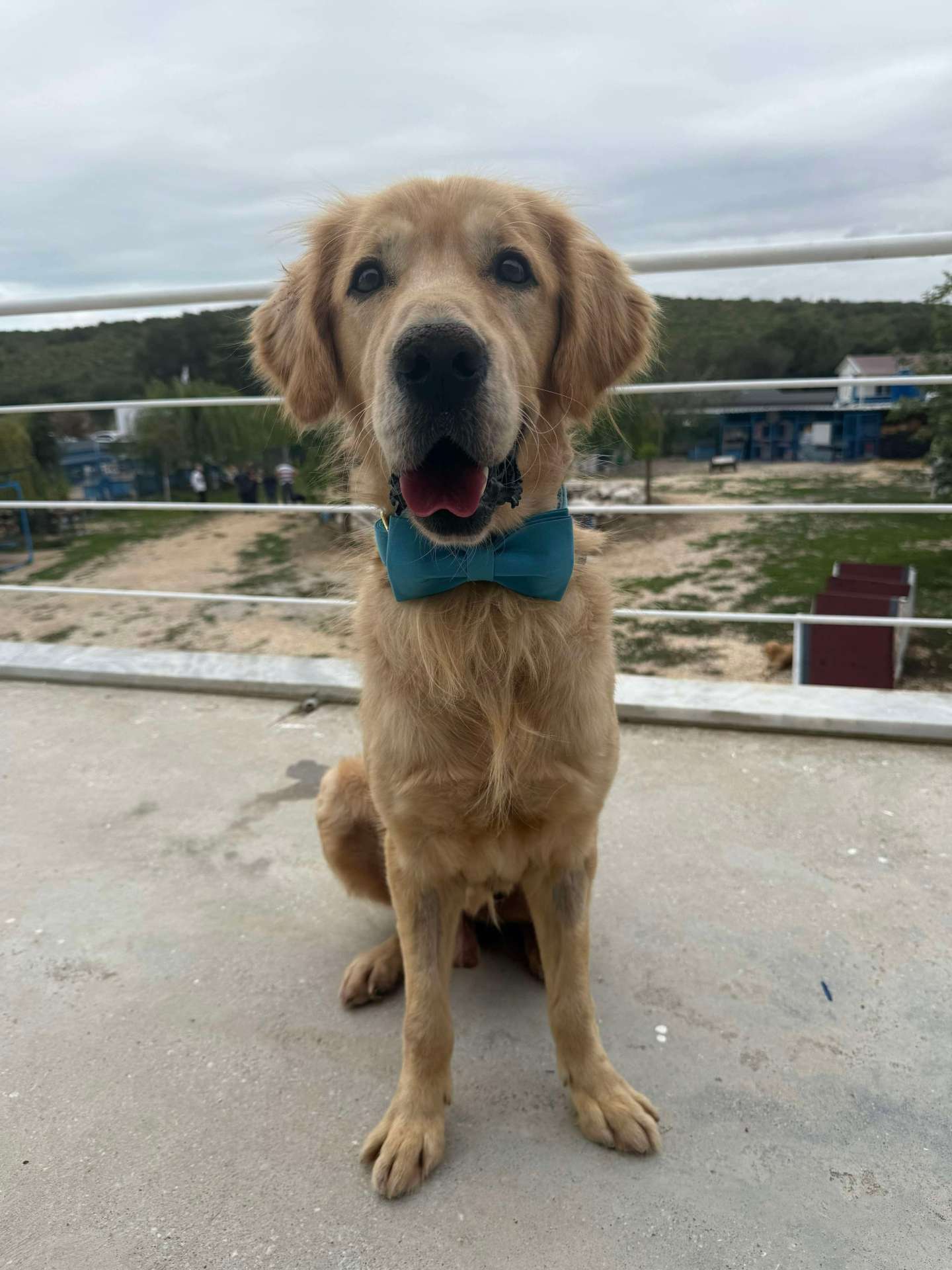 Wally  