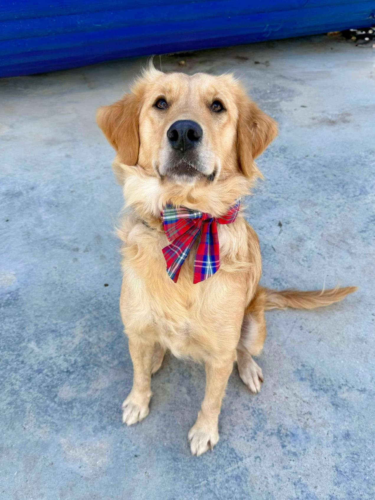 *ADOPTED* <br> April 
