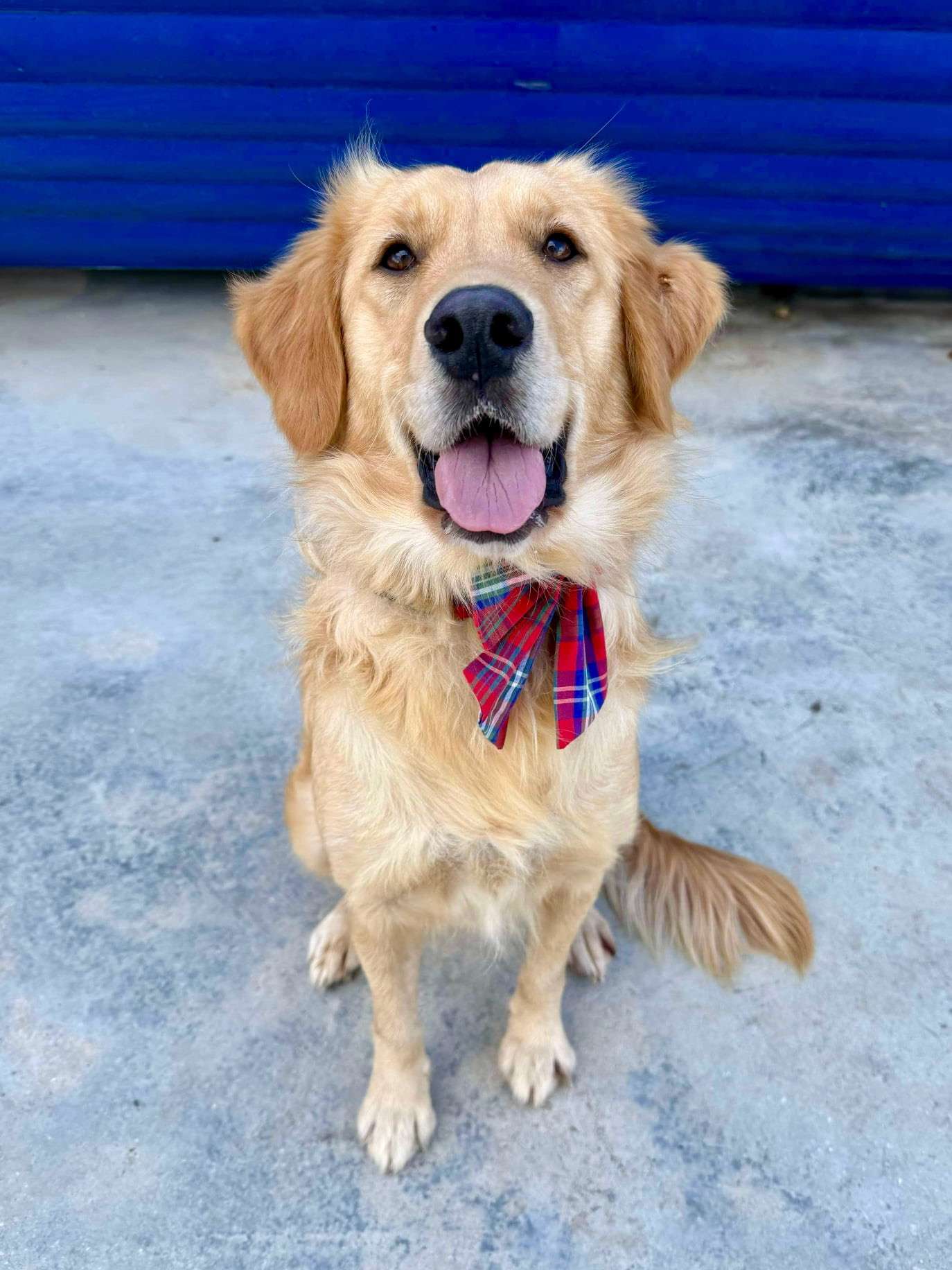 *ADOPTED* <br> April 
