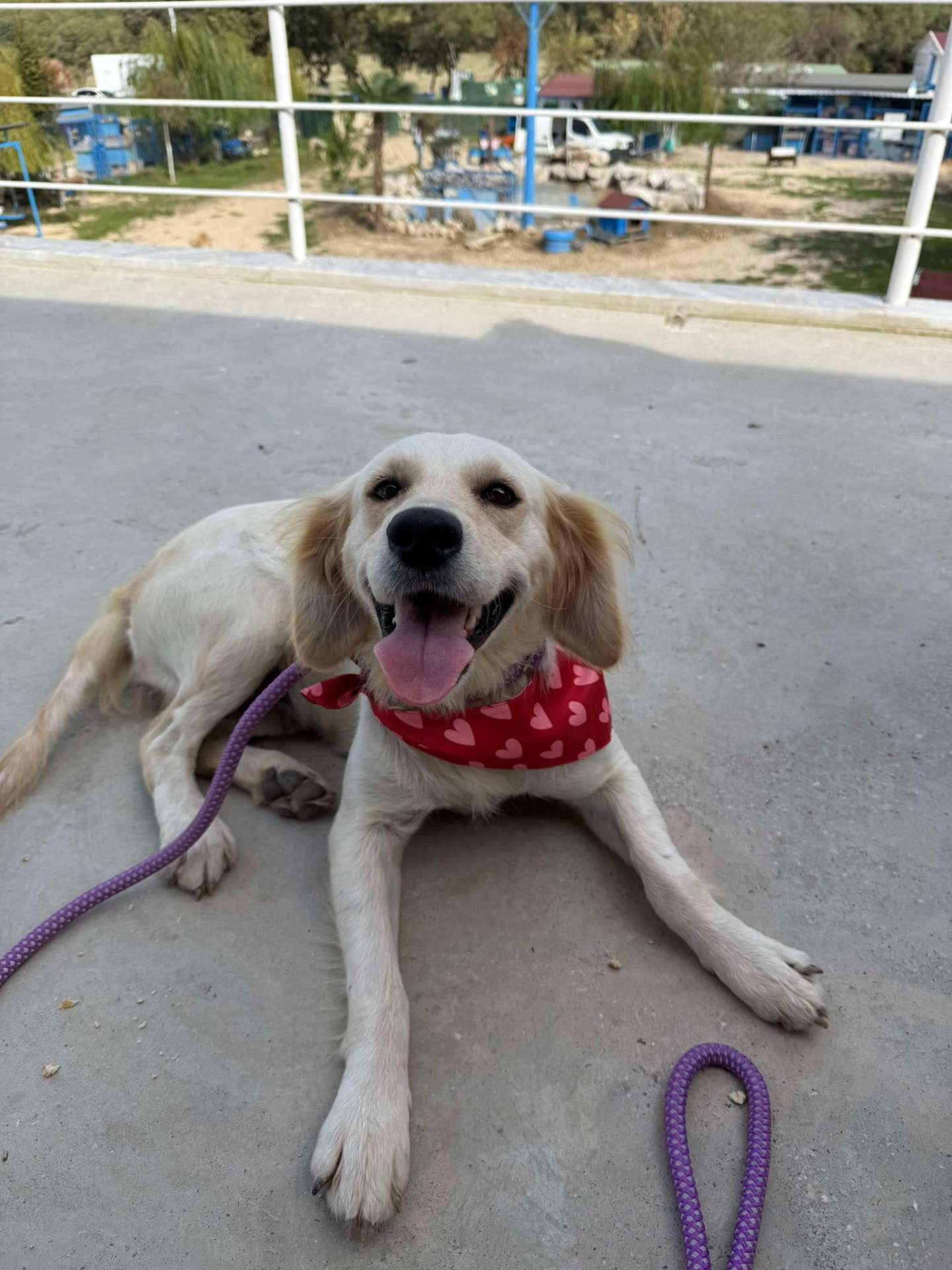 Minnie 
