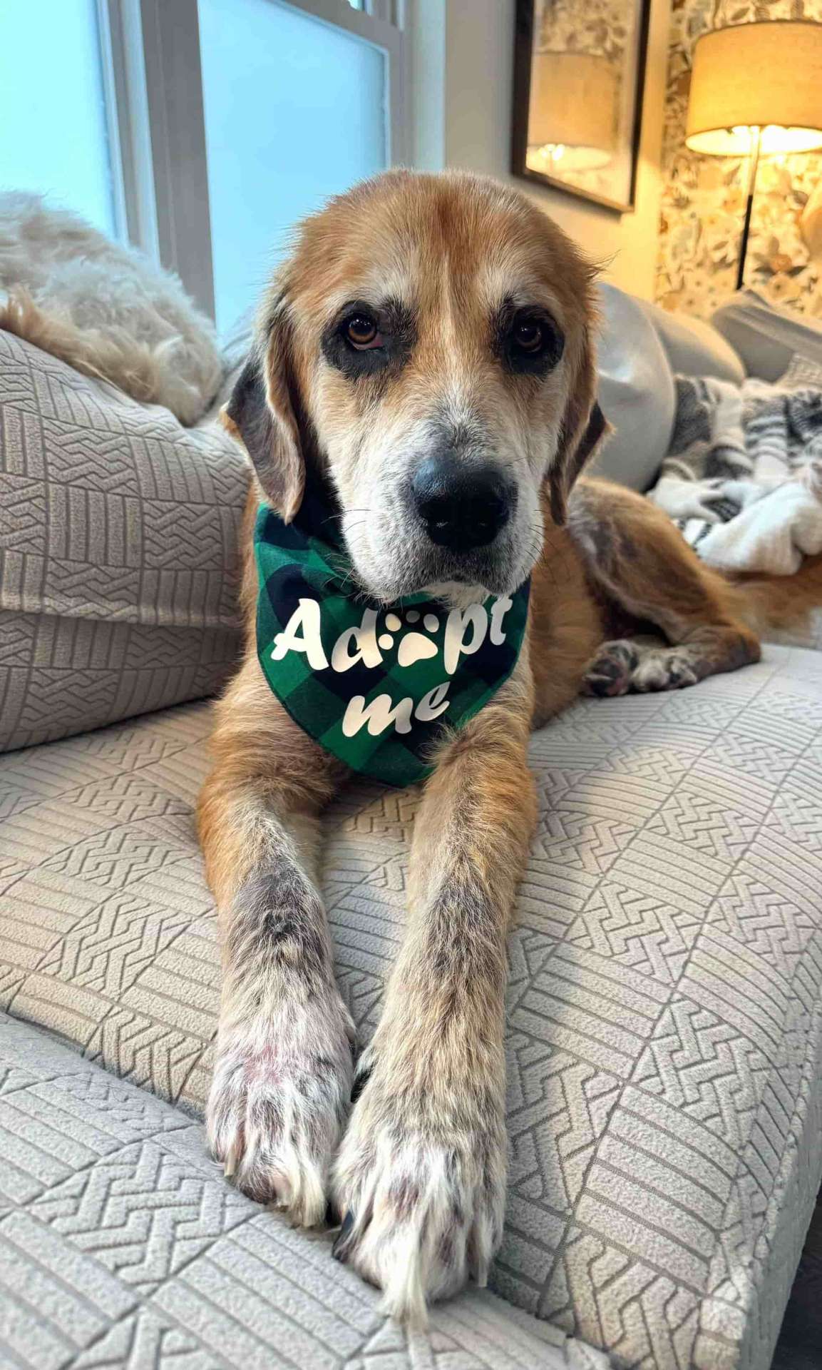 Rudy