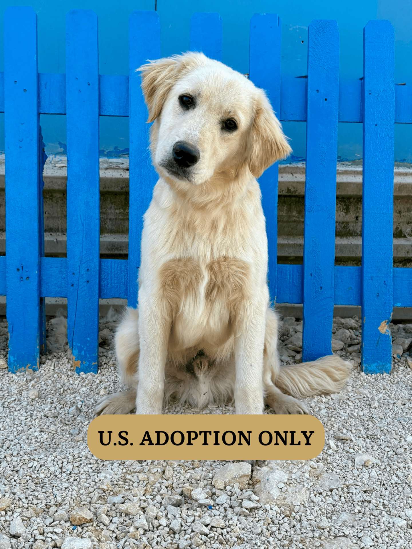 Sammy 