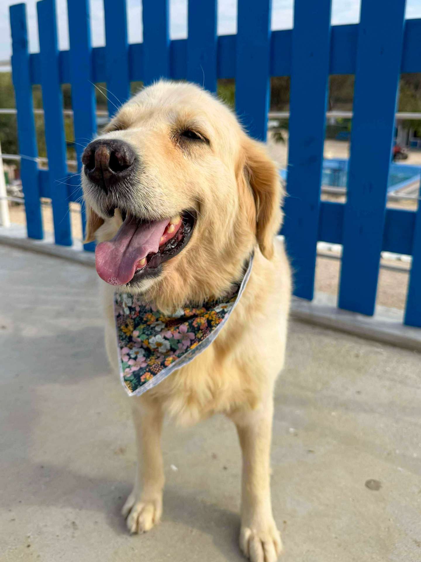 Maggie