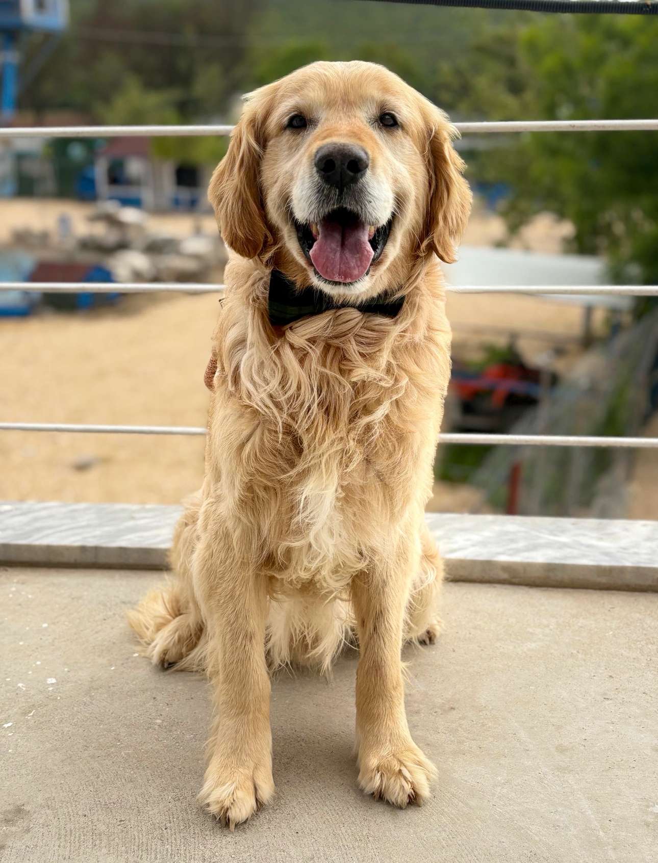 Orville 