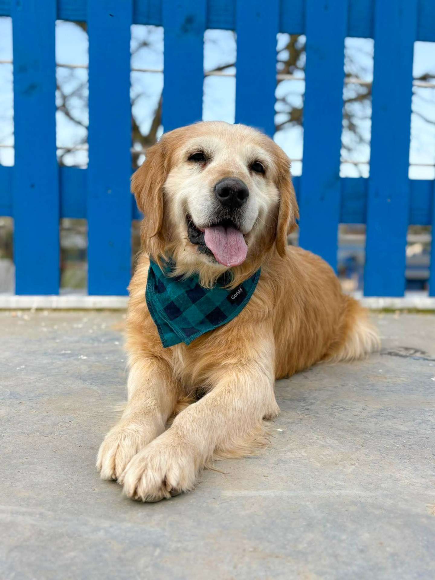 *ADOPTED* <br> Roland 