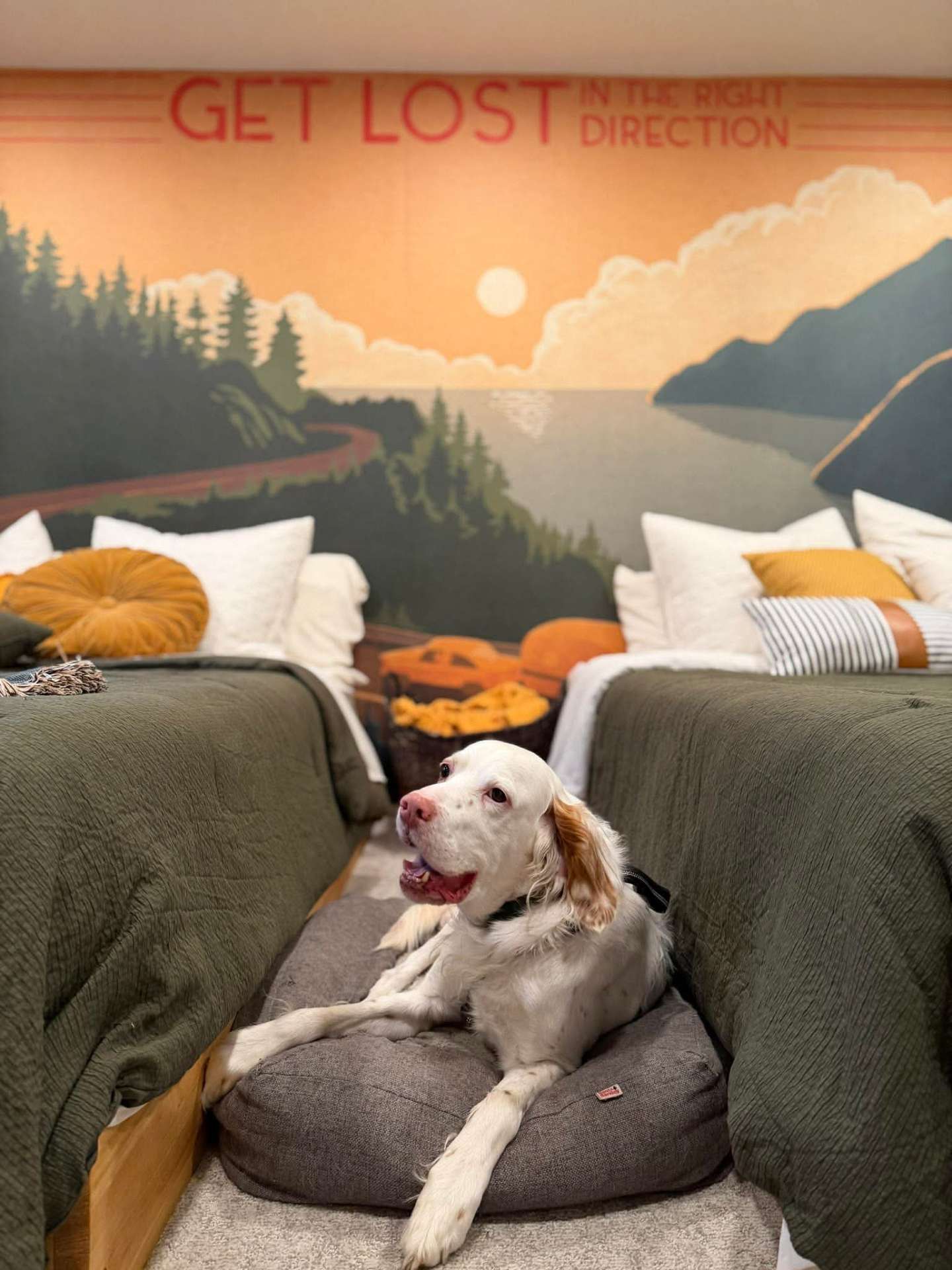*ADOPTED* <br> Birch  
