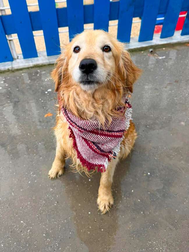*ADOPTED* <br> Miller 